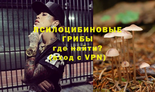apvp Липки