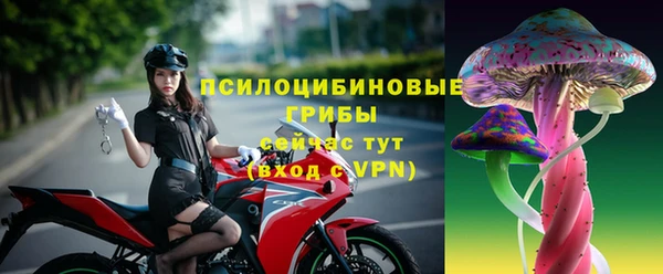 apvp Липки